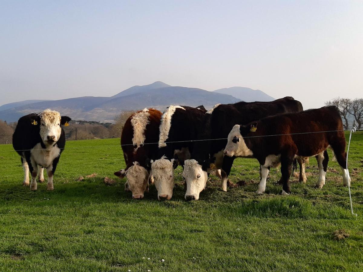 Inveraray Farm Beaufort Luaran gambar