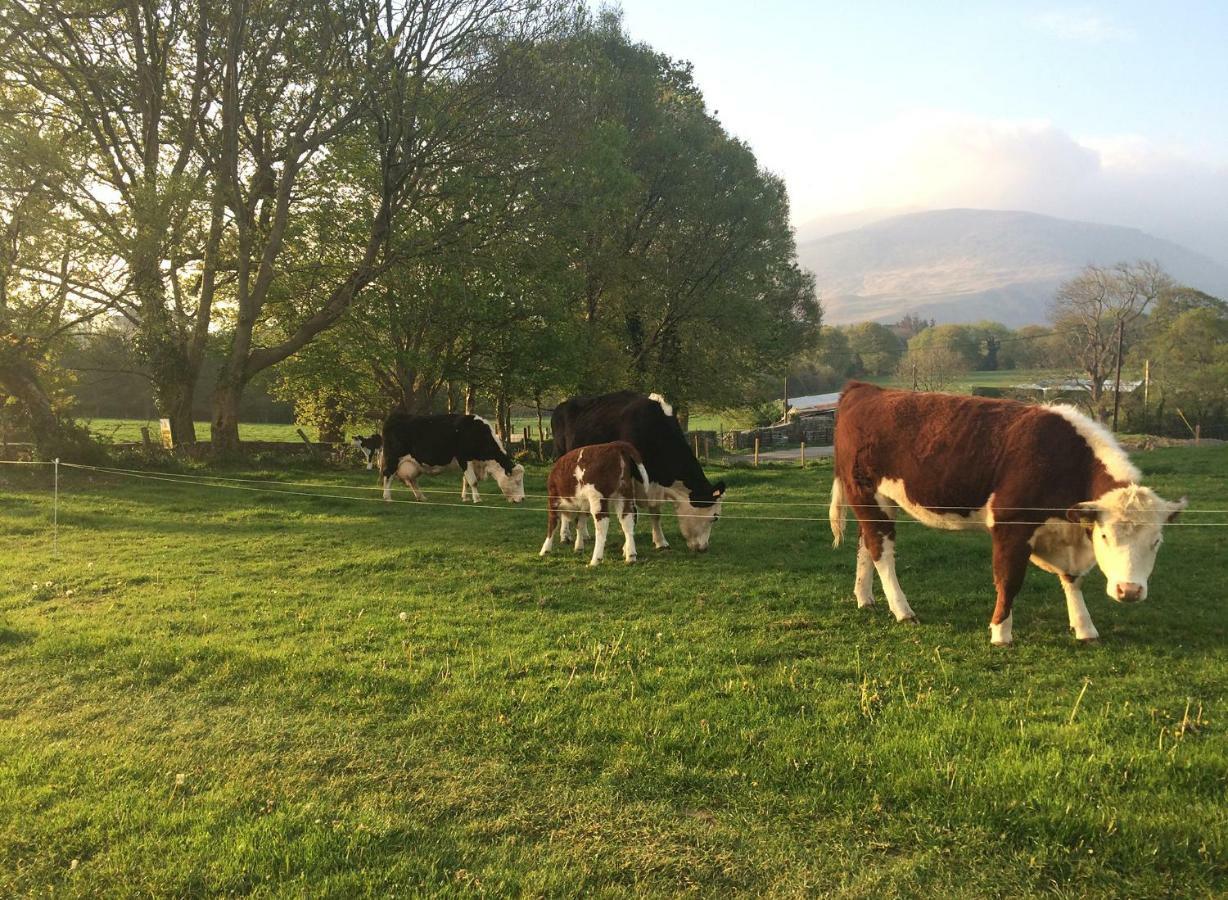 Inveraray Farm Beaufort Luaran gambar